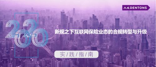 新規(guī)之下互聯(lián)網(wǎng)保險(xiǎn)業(yè)態(tài)的合規(guī)轉(zhuǎn)型與升級(jí)丨大成 實(shí)踐指南 技術(shù)開(kāi)發(fā)
